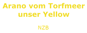 NZB