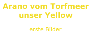 erste Bilder