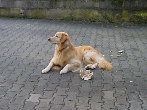 2005