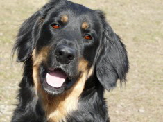Sari 2 Jahre