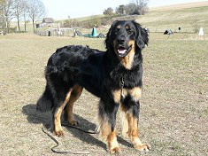 Sari 2 Jahre